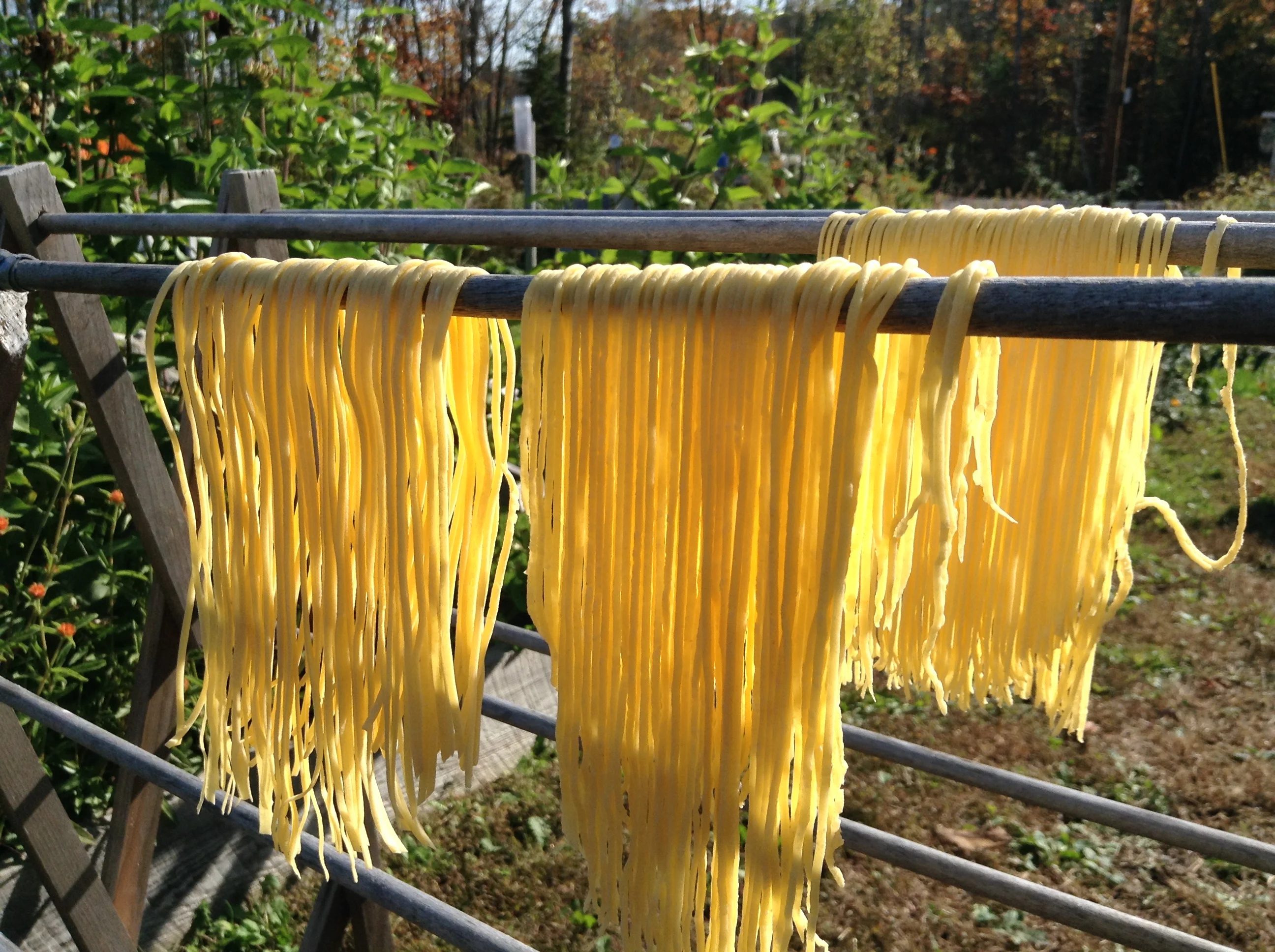 Asian Noodles With Chris Toy!