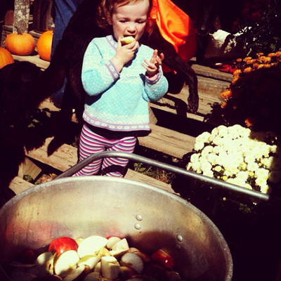 Ramona, one of Bessie's regulars, steals a apple out of the wash basin!