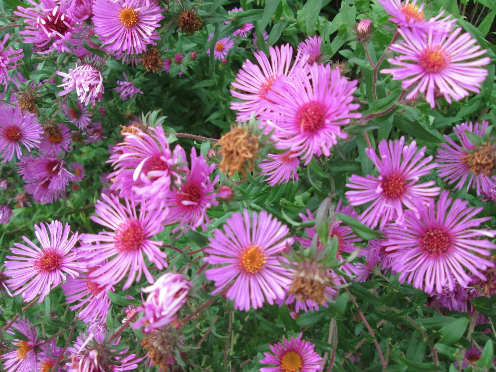 It's Never Too Early to Teach a Child....