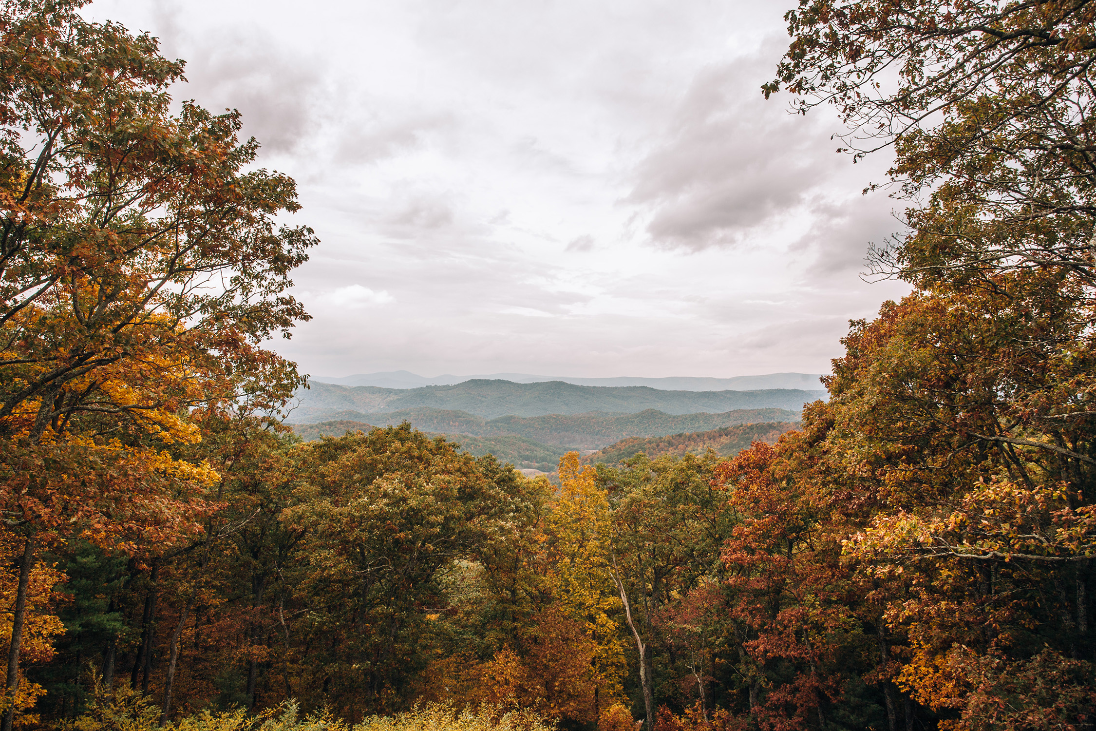 Virginia 2.jpg