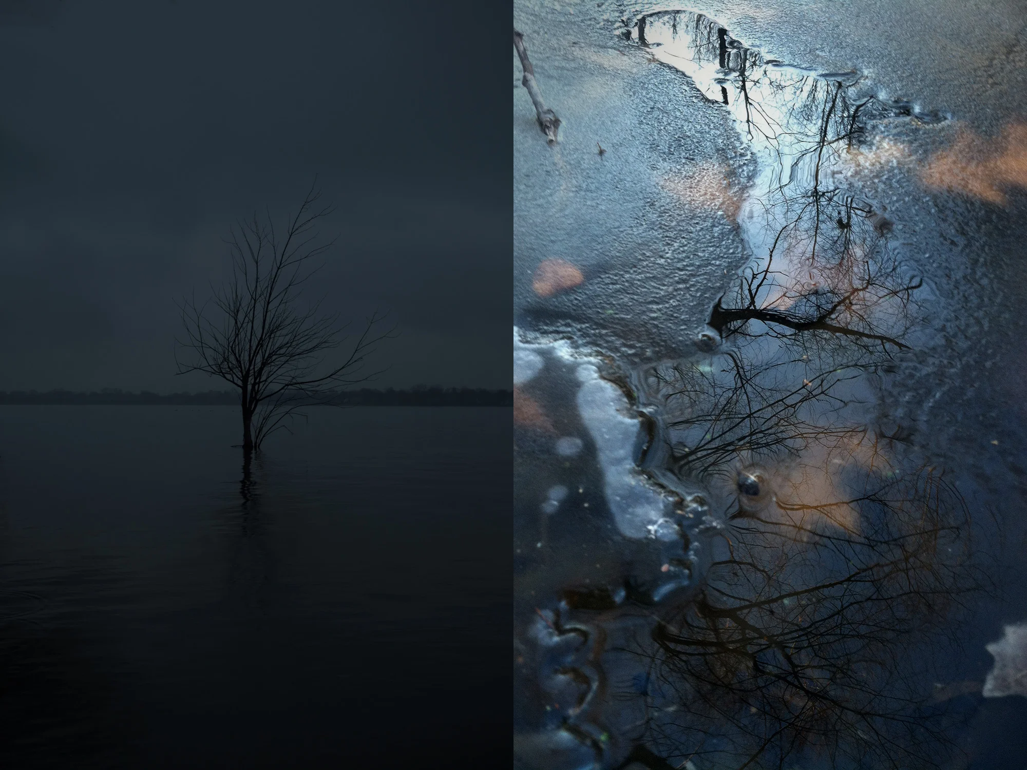 charlottephotographers1.jpg