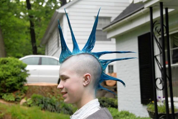 Blue Mohawks Can Change The World