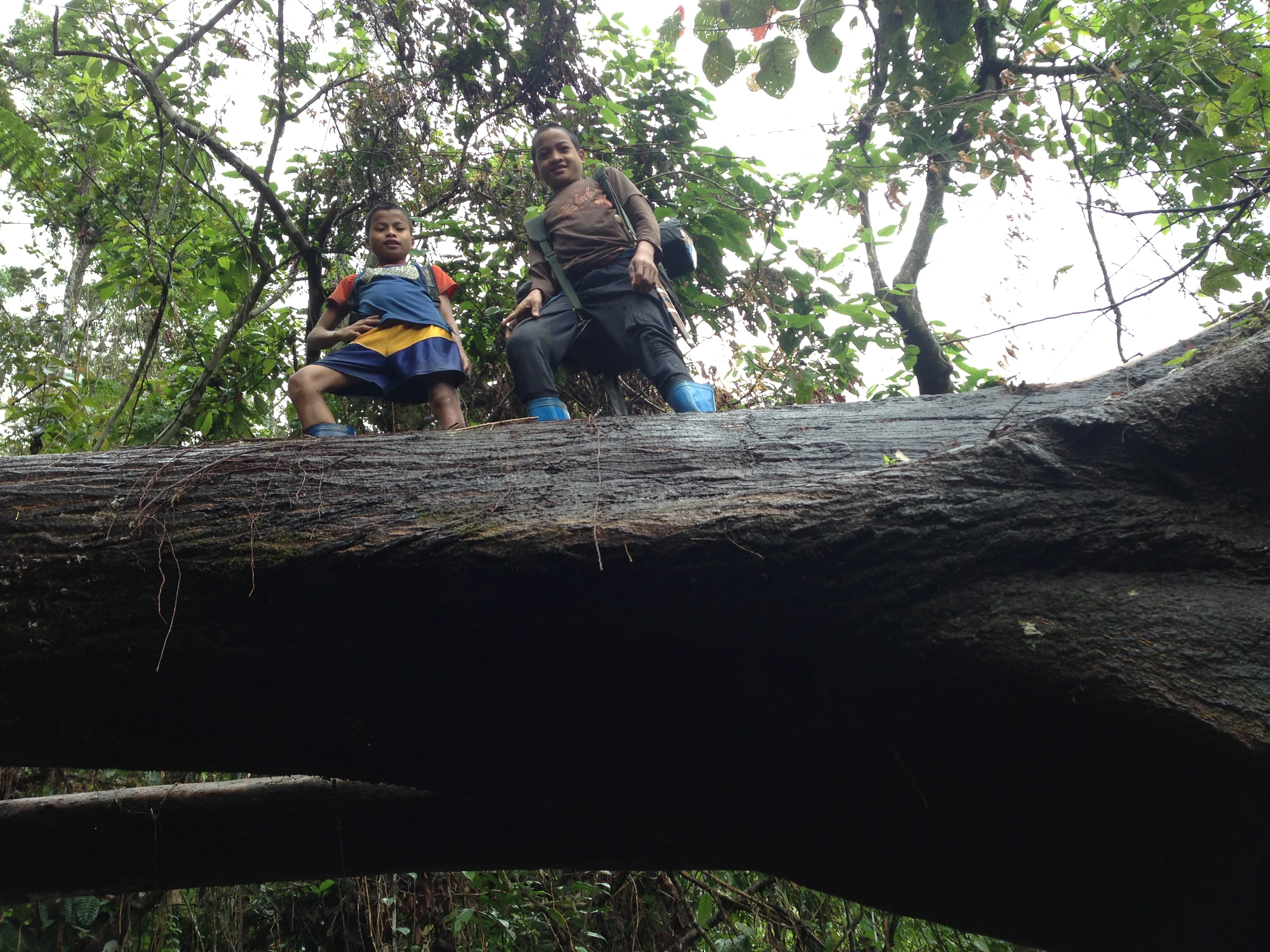 Transforming Tragedy into Opportunity