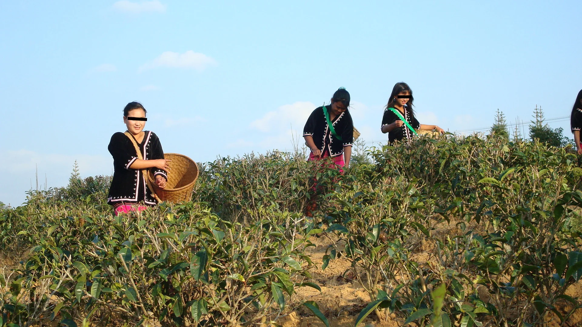 Our Latest Visit to Mindanao