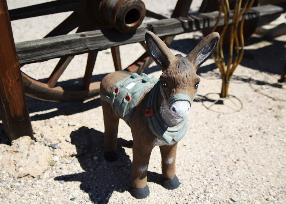 Products — Loya's Courtyard