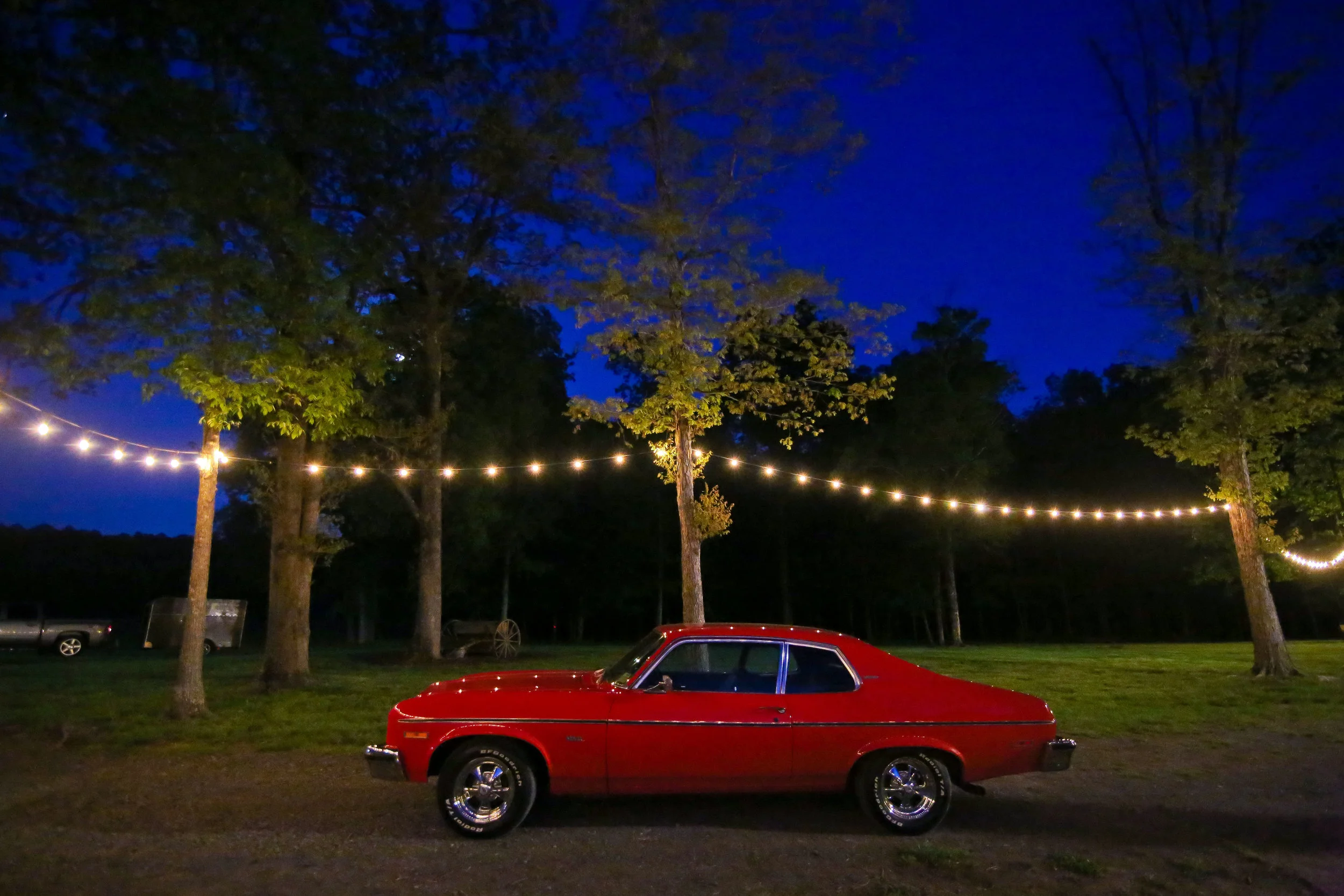 Reception-334.jpg