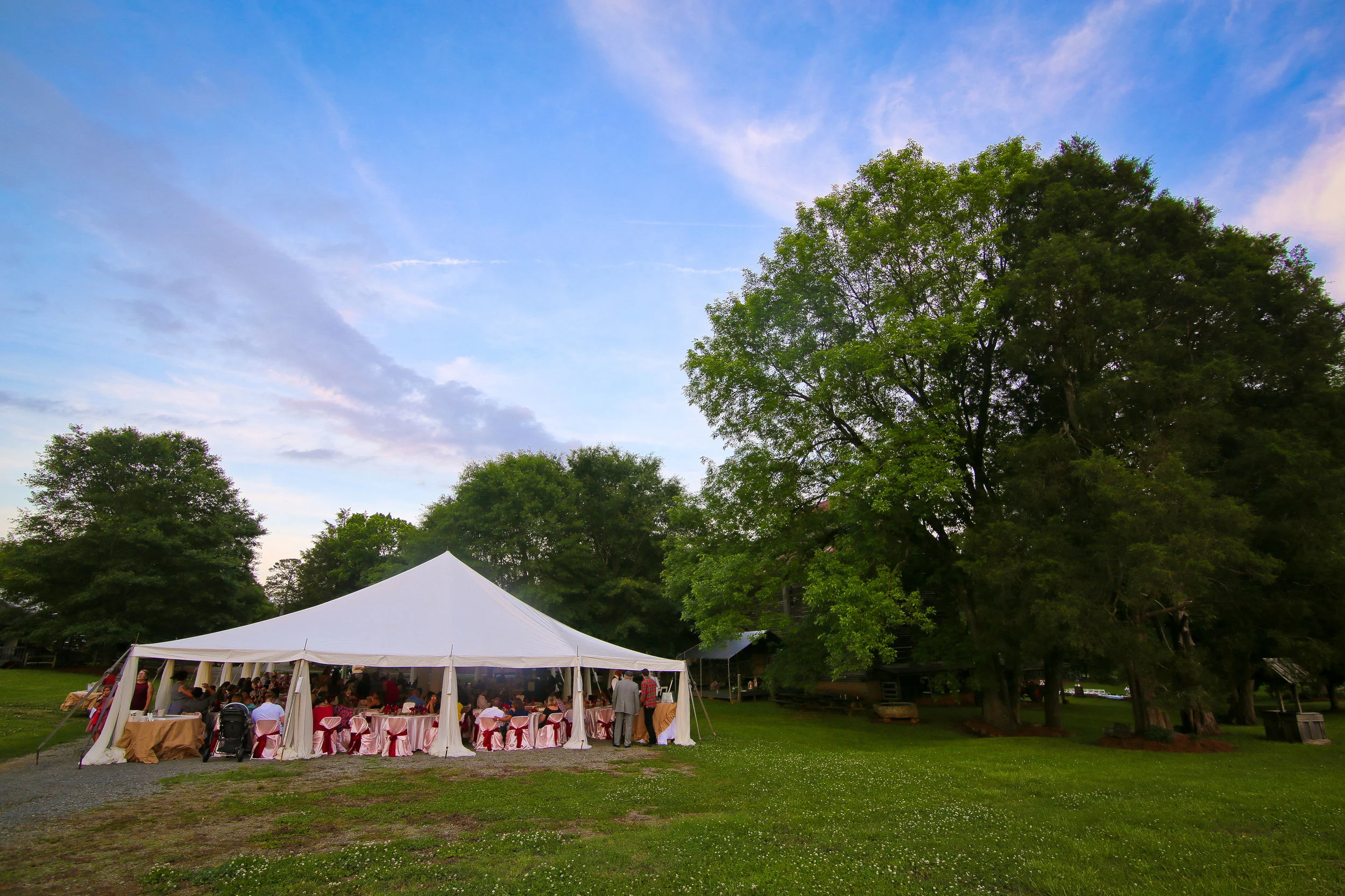 Reception-34.jpg