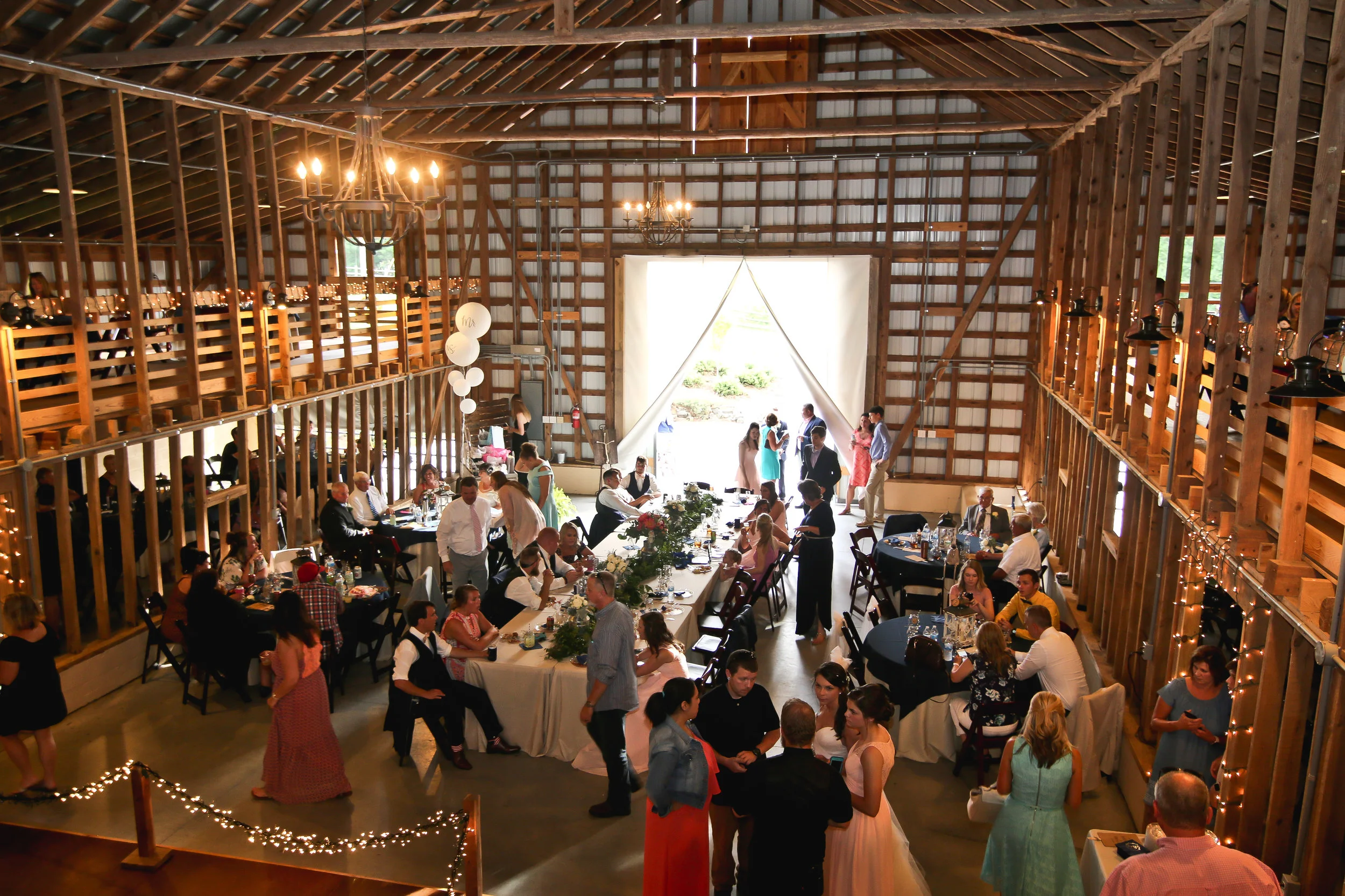 Reception-59.jpg