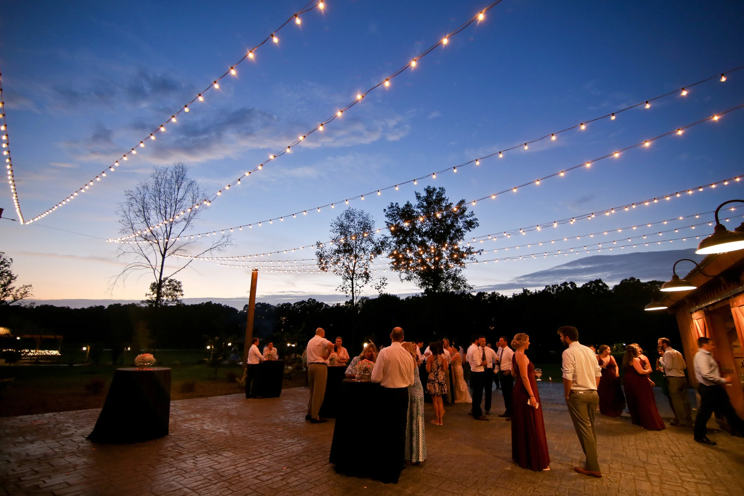Reception-345.jpg
