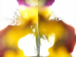 John Ruggieri "Float #2" Chromogenic print on archival paper - $1800 Height: 30" Width: 40"
