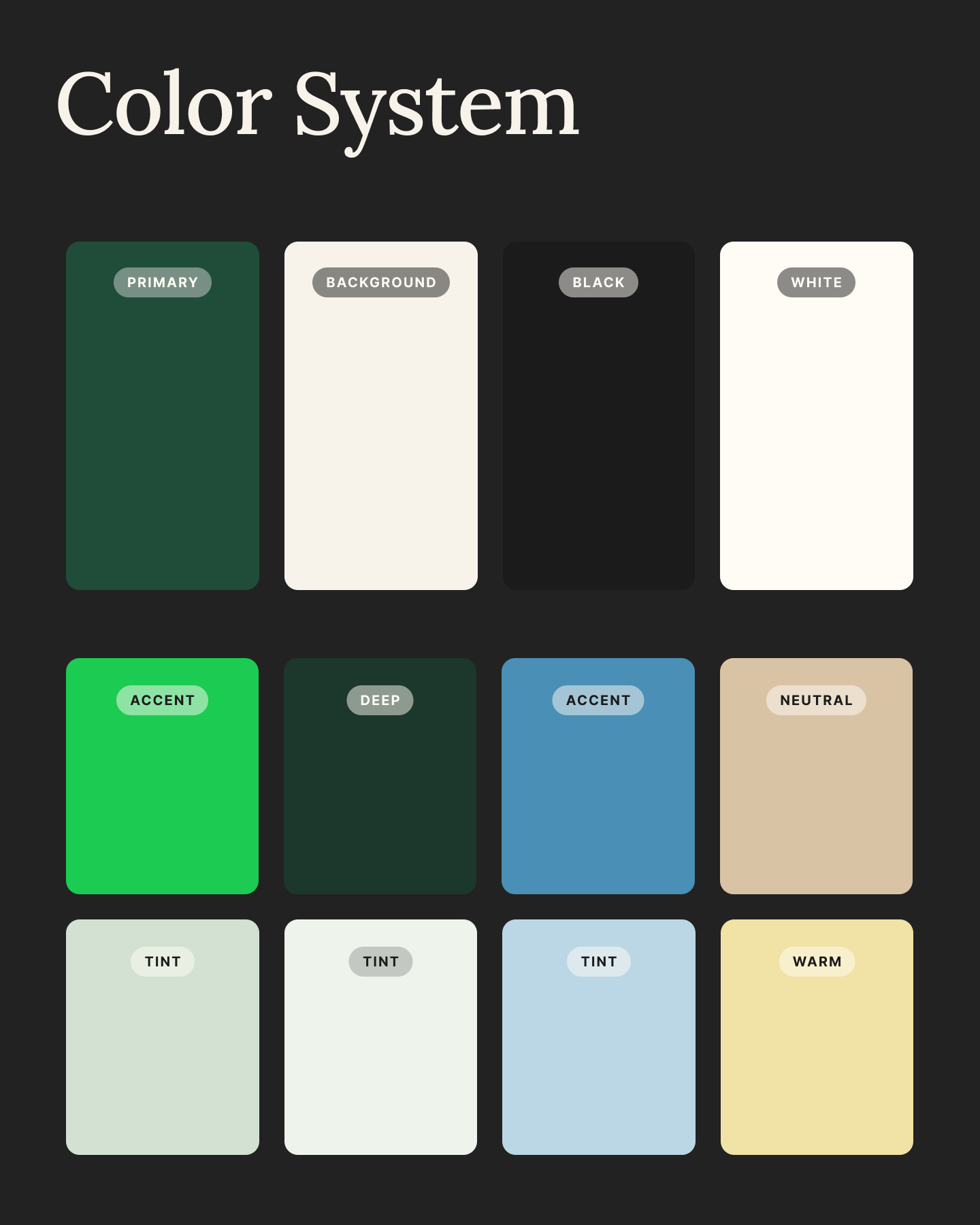 Brand Identity - 1.png