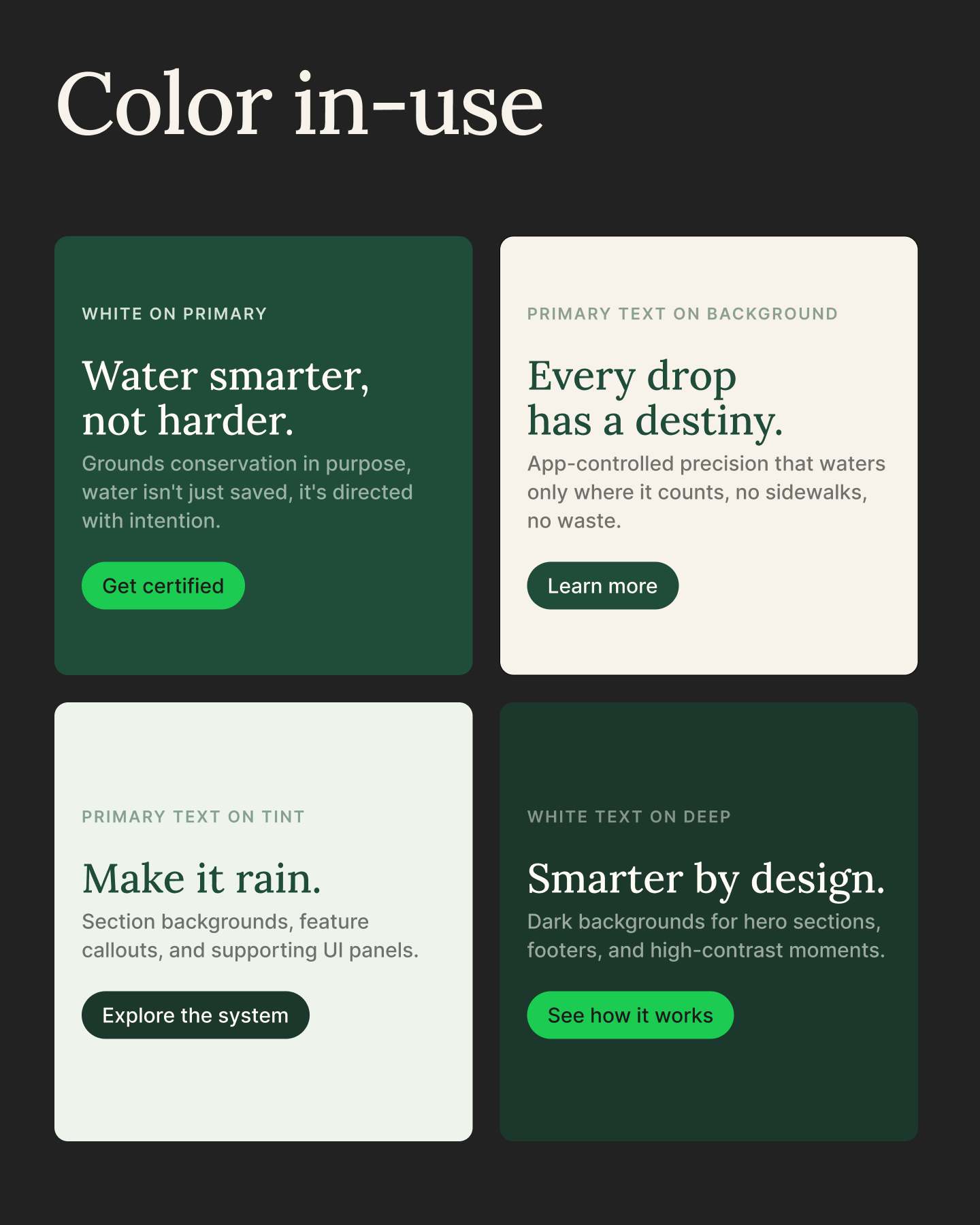 Brand Identity - 3.png