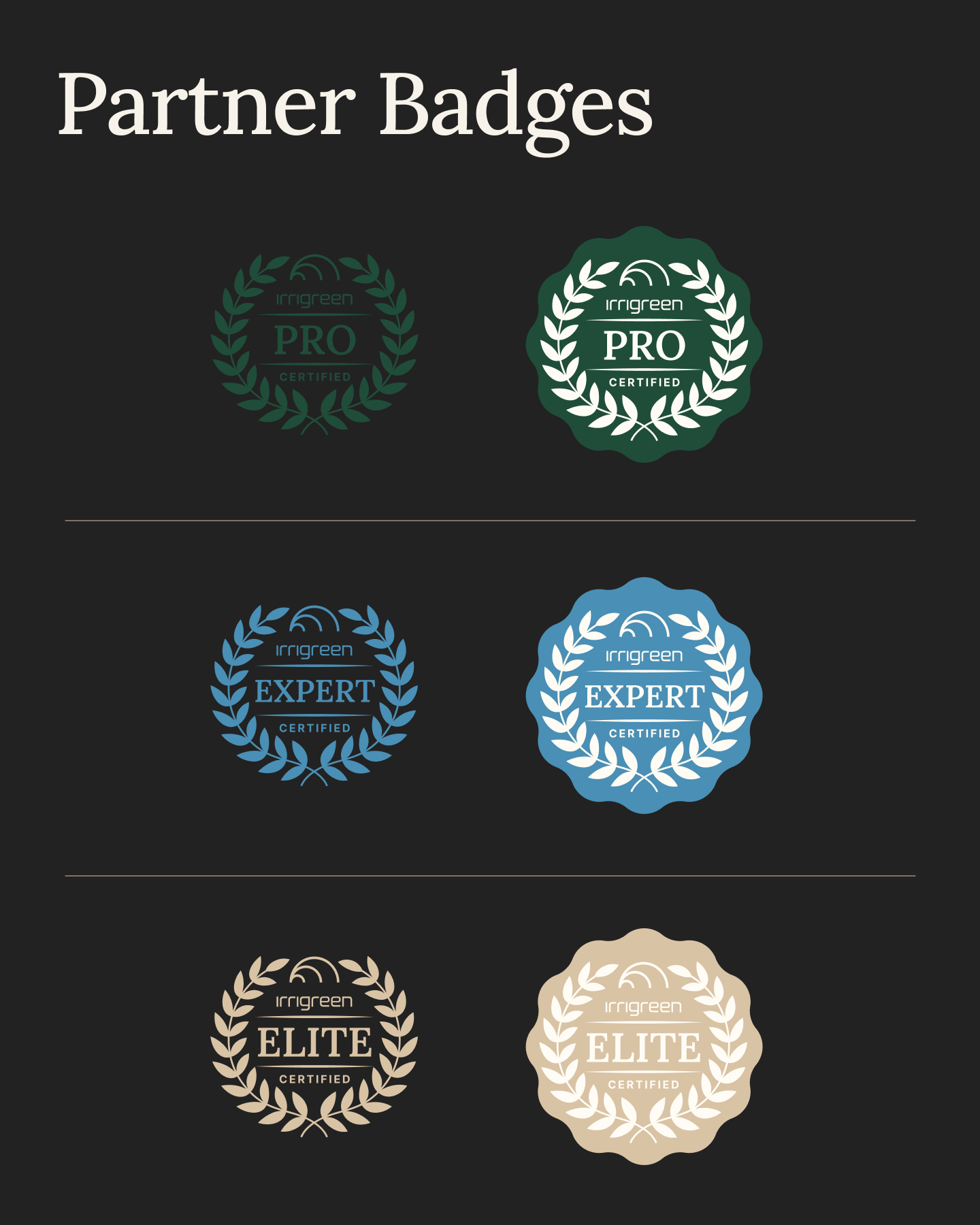 Brand Identity - 14.png