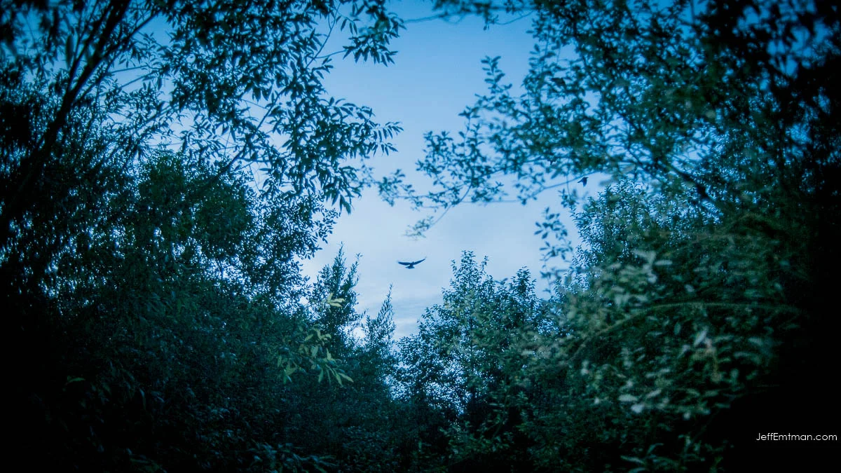 Bothell, Washington