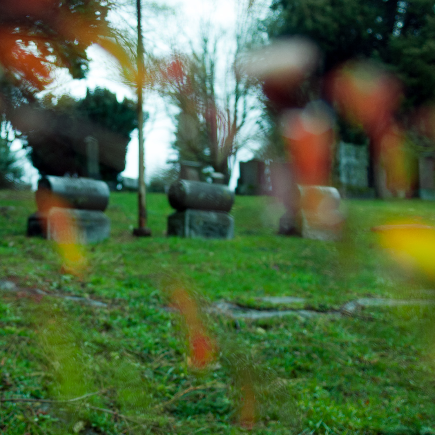 Lying in a Stranger's Grave