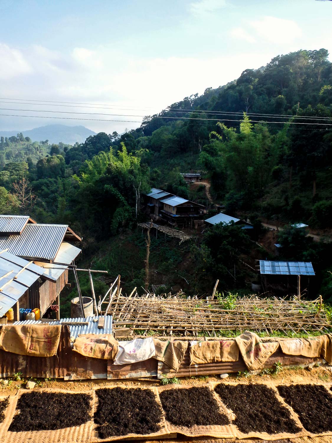 Morning, Day Two - View from the guesthouse