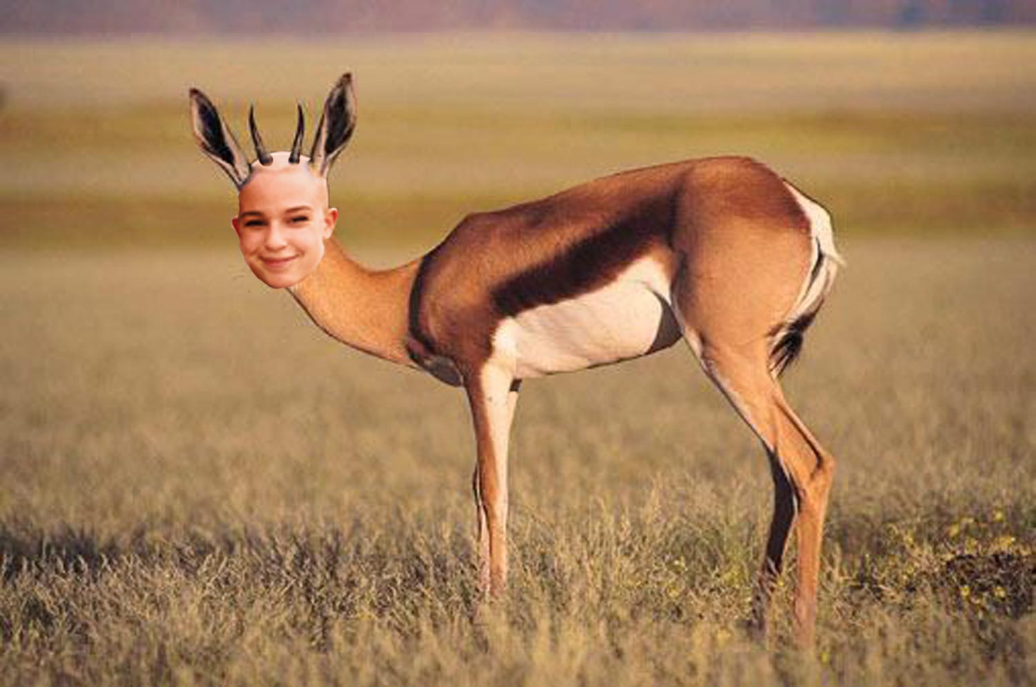 Carrie McCarty composited on to the body of an antelope (per her request)
