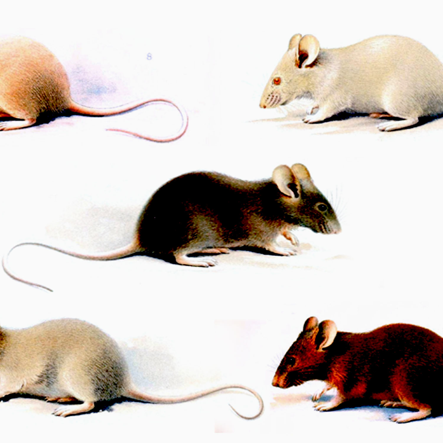 HBM050: The Scientist is not the Angel of Death