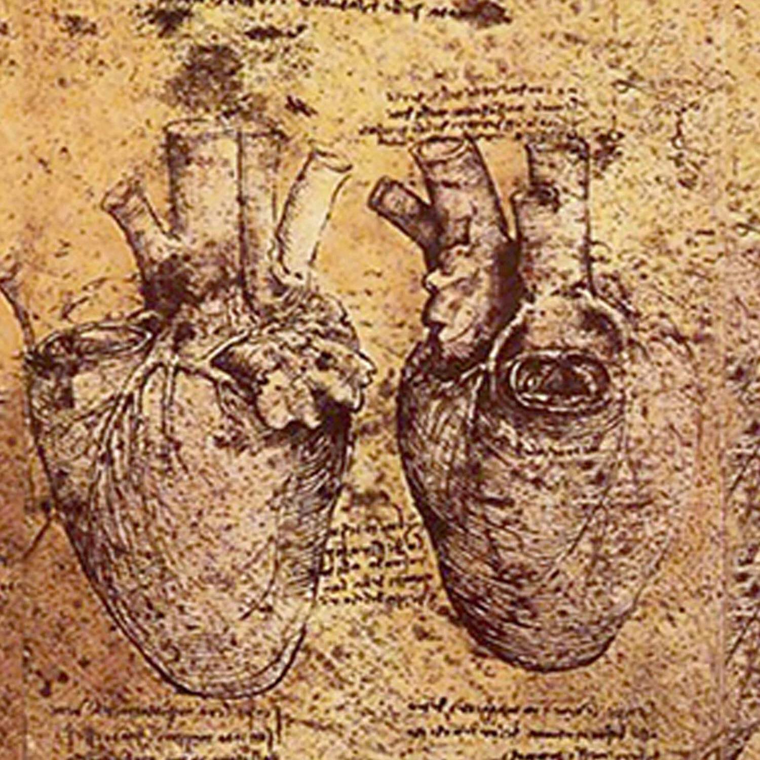 HBM012.jpg