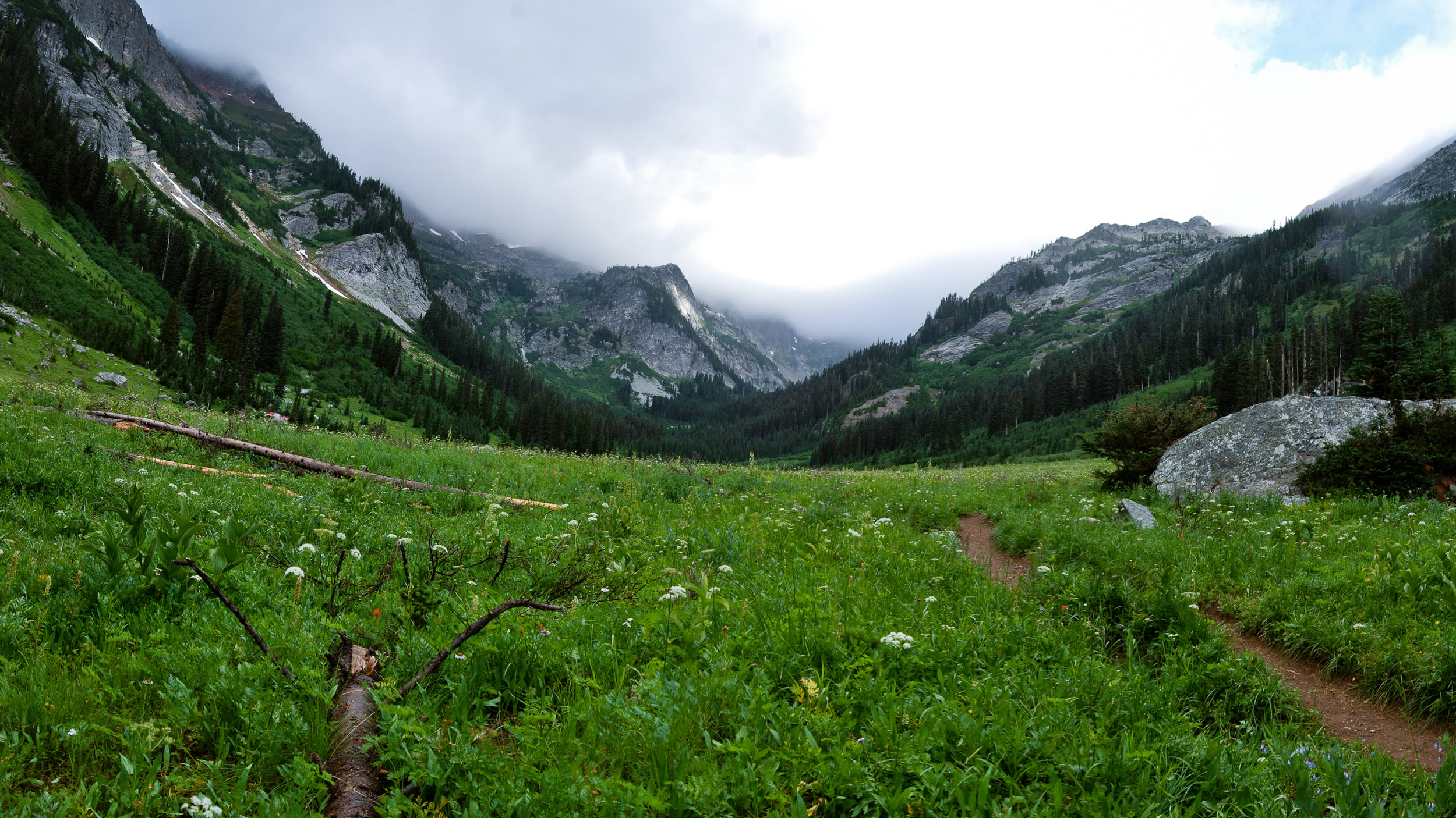  Meadow in the North Cascades near Holden Village. 