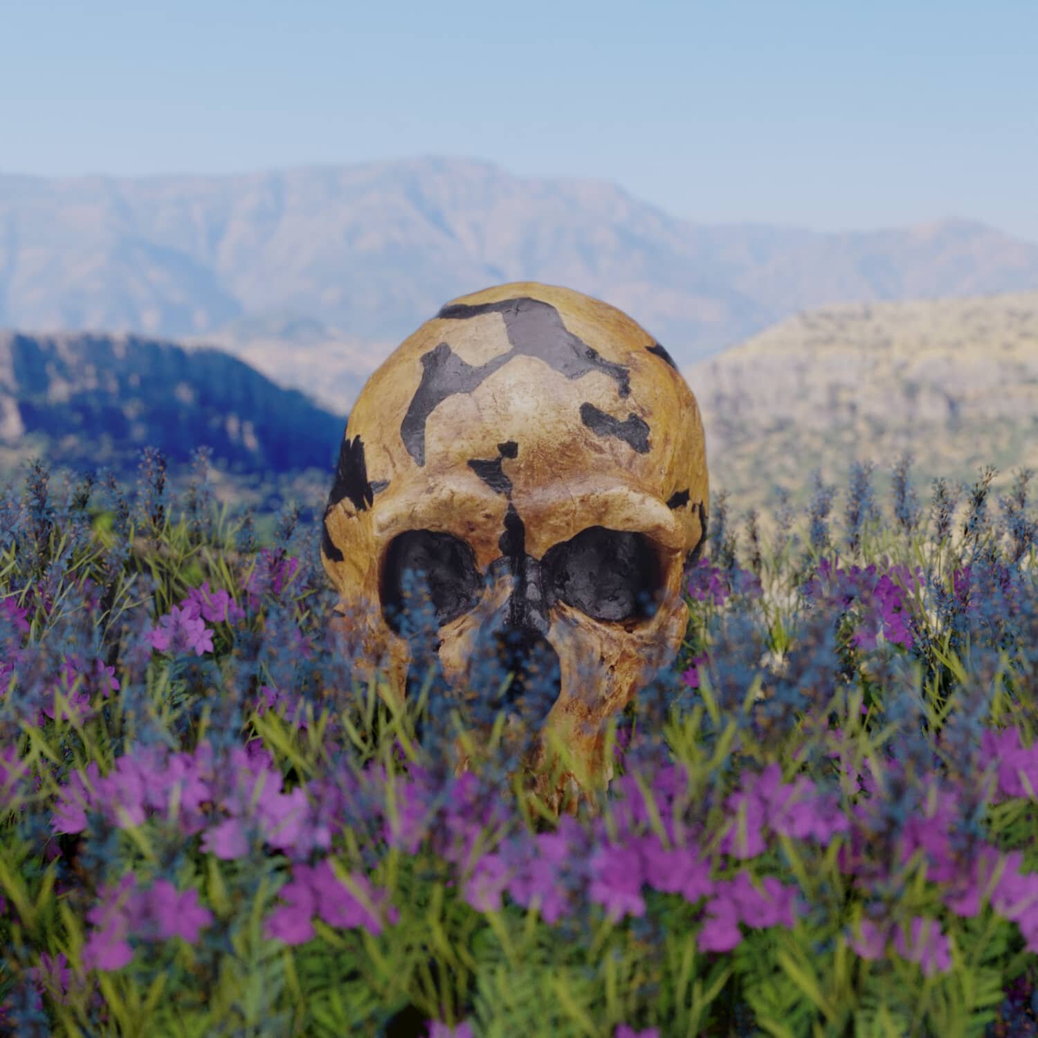 HBM138: Did Neanderthals Bury their Dead?