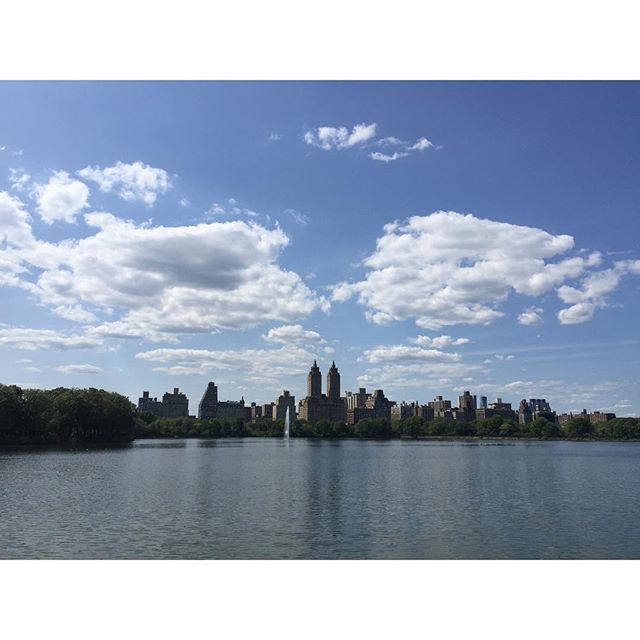 Afternoon Stroll In The Park.