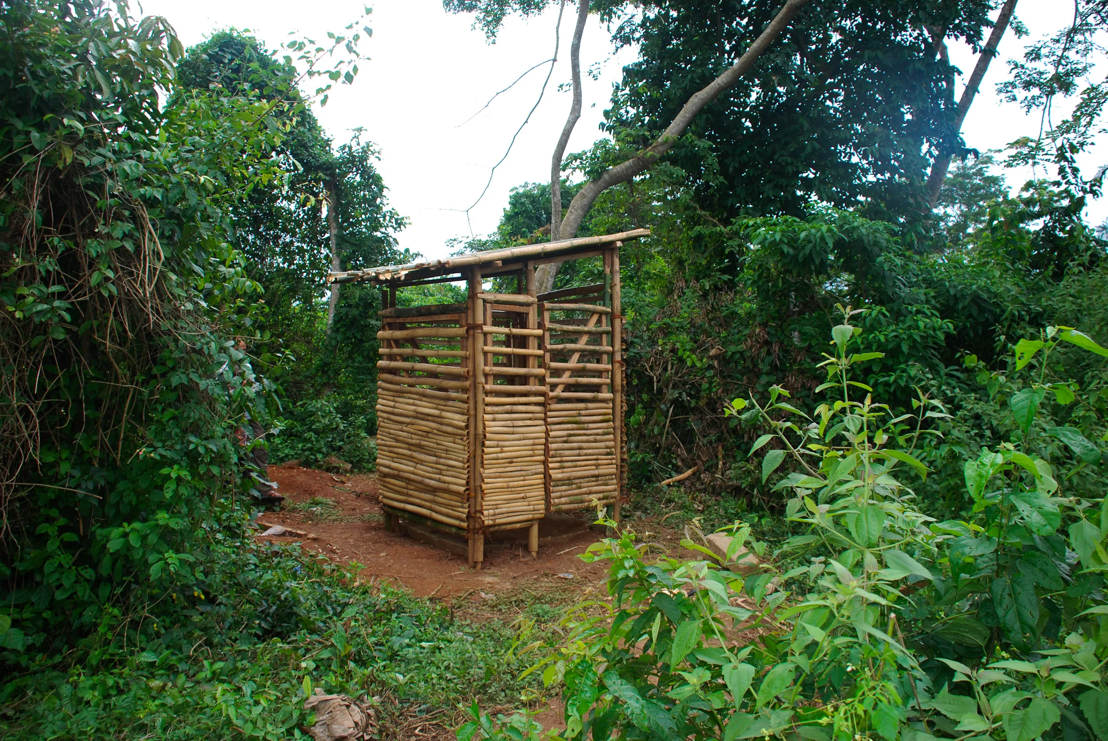 DSC_1242.jpg