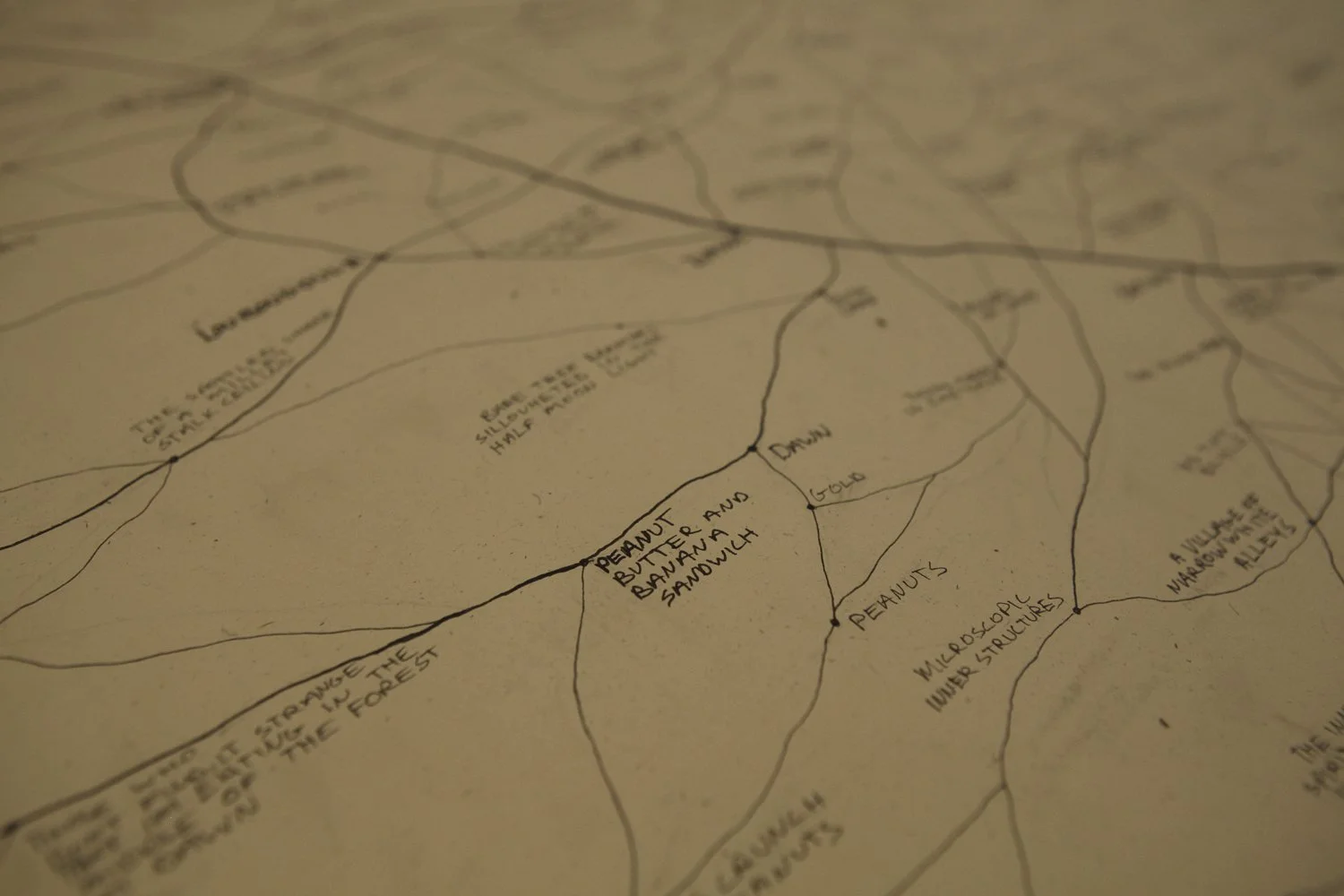 mapforweb-7.jpg