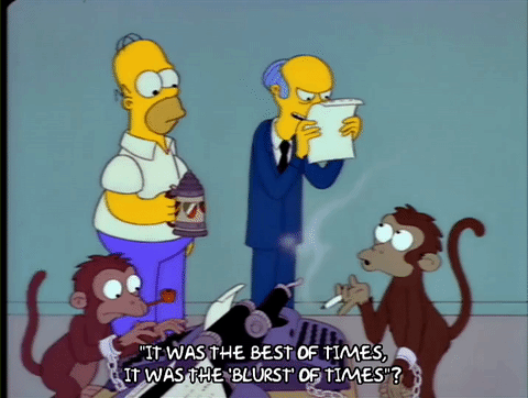 "You stupid monkey!"