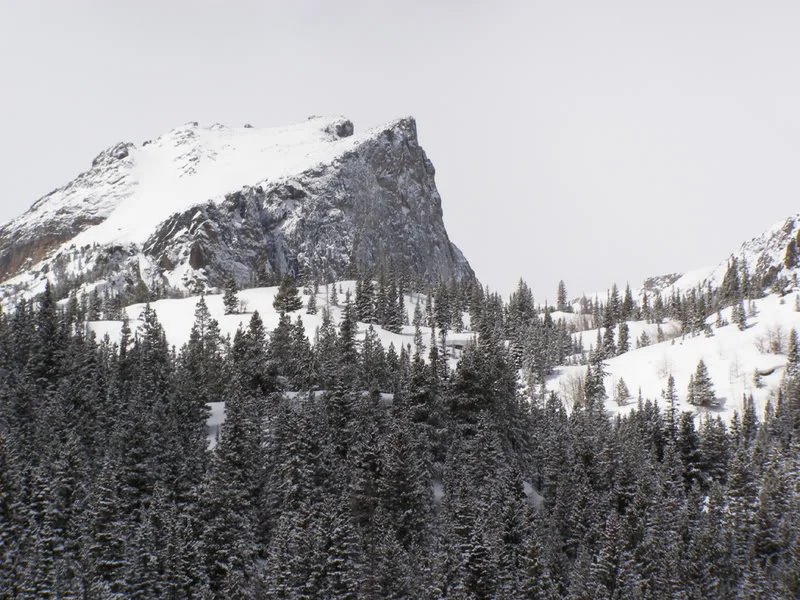 Colorado Rocky Mountain High