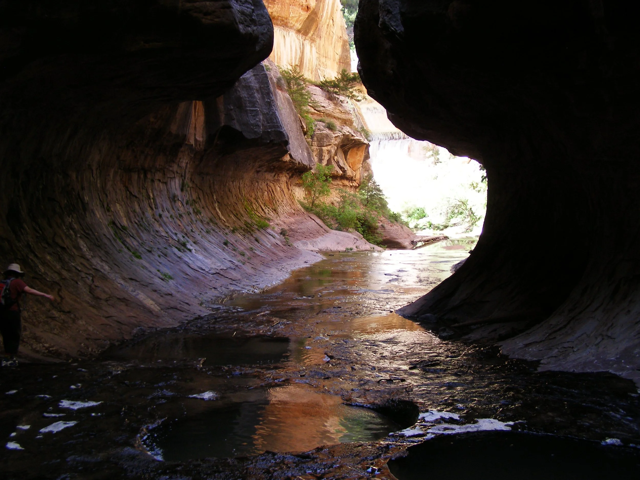 My Year of Hiking: 2009