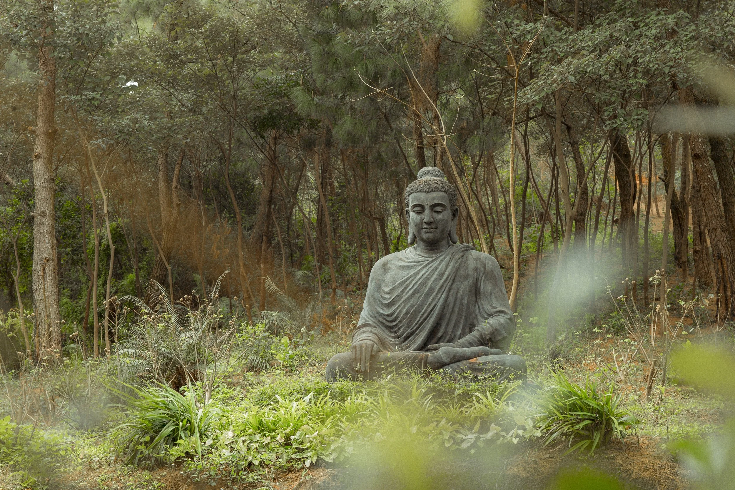 YEAR OF ZEN: SPRING: DAY 28