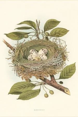 YEAR OF ZEN: SUMMER: DAY 68