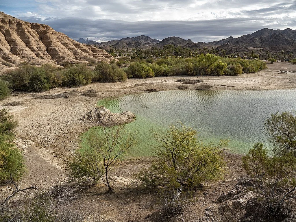 YEAR OF HAIKU: DAY 50