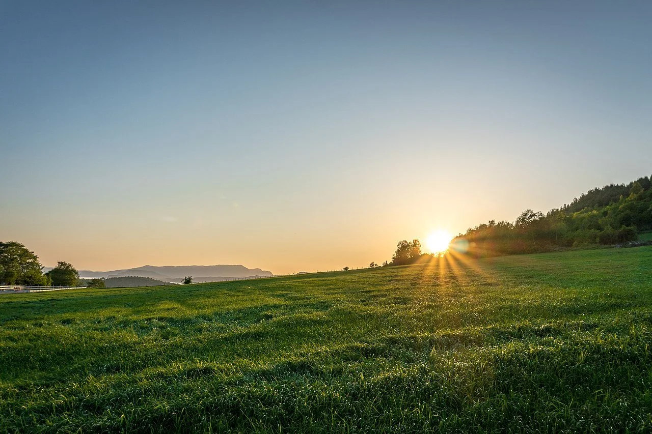 YEAR OF HAIKU: DAY 177