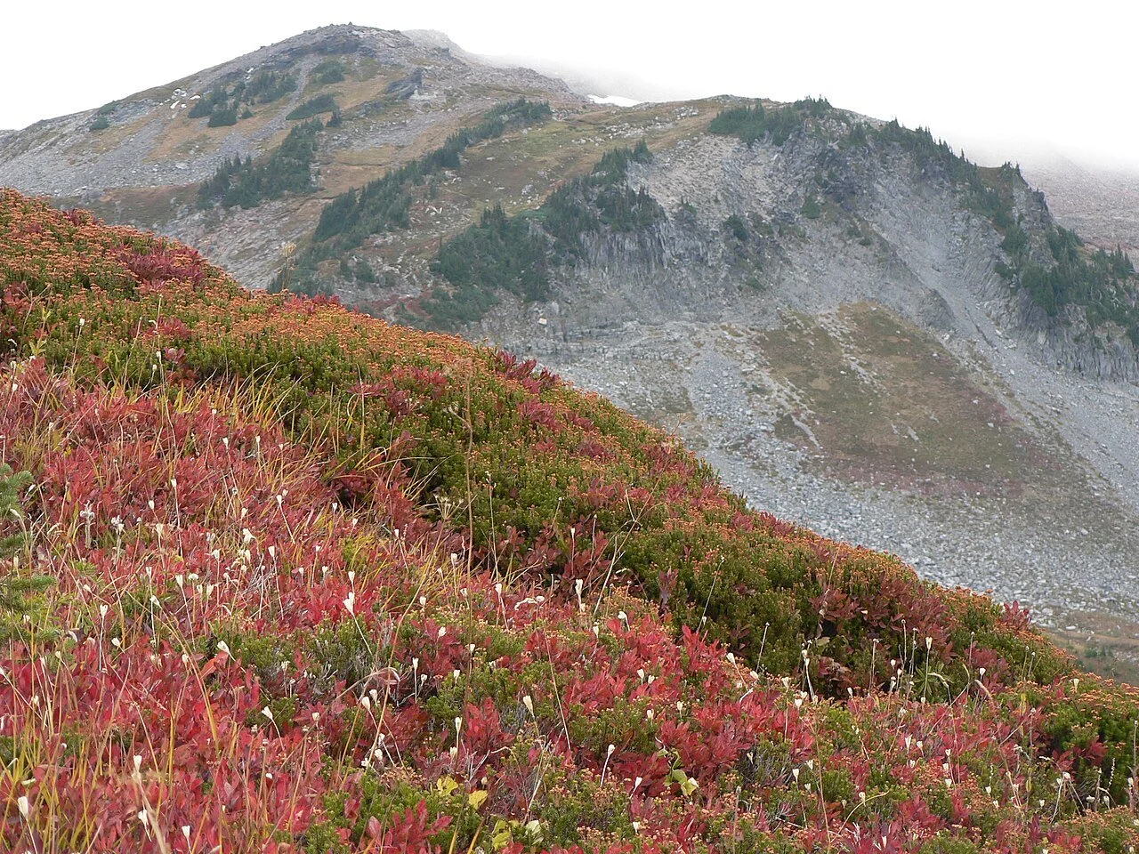 YEAR OF HAIKU: DAY 268