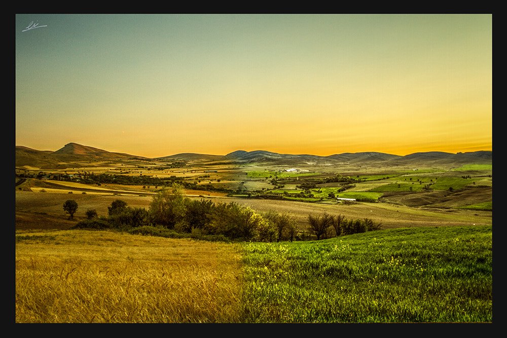 YEAR OF HAIKU: DAY 306