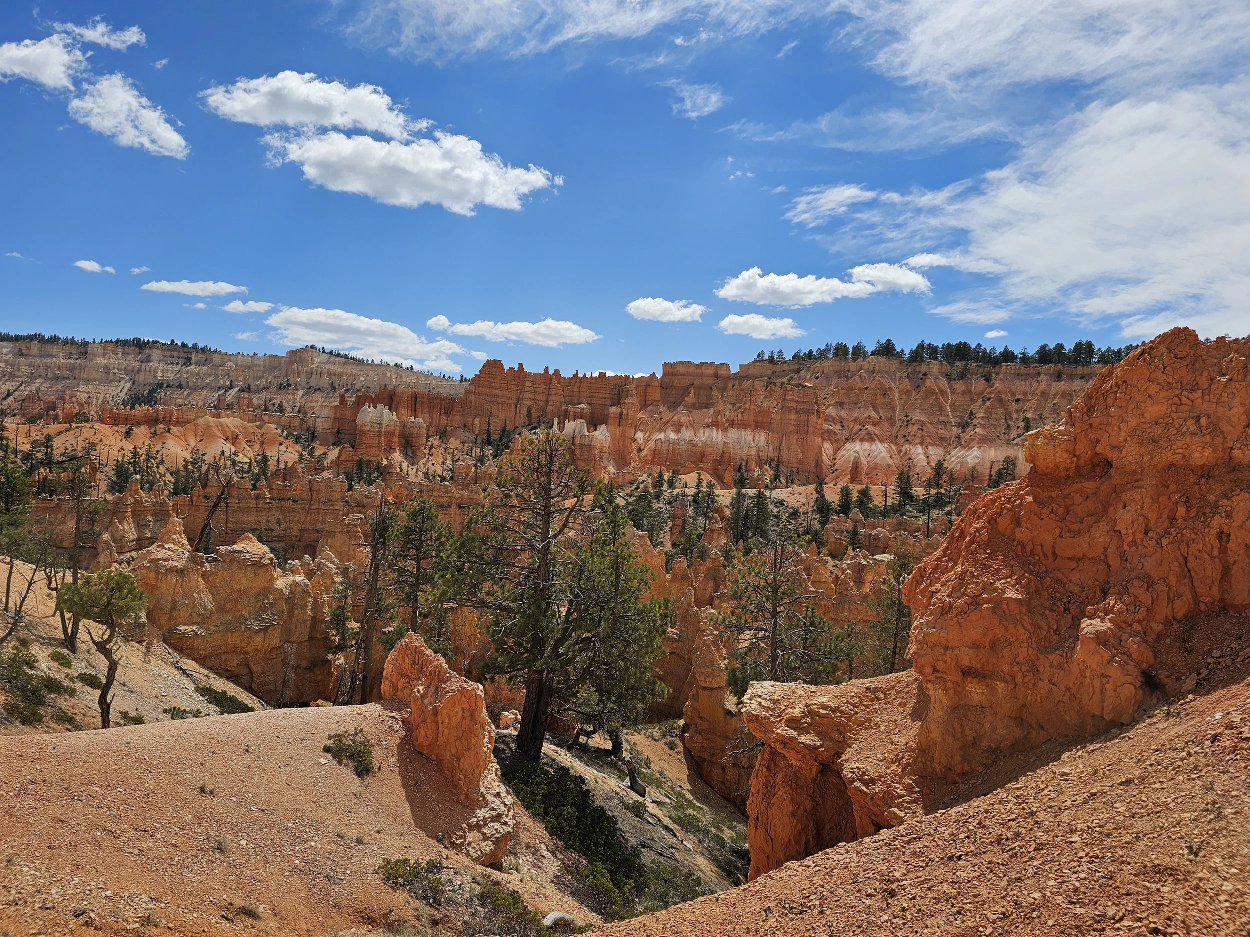 My Year of Hiking: 2026