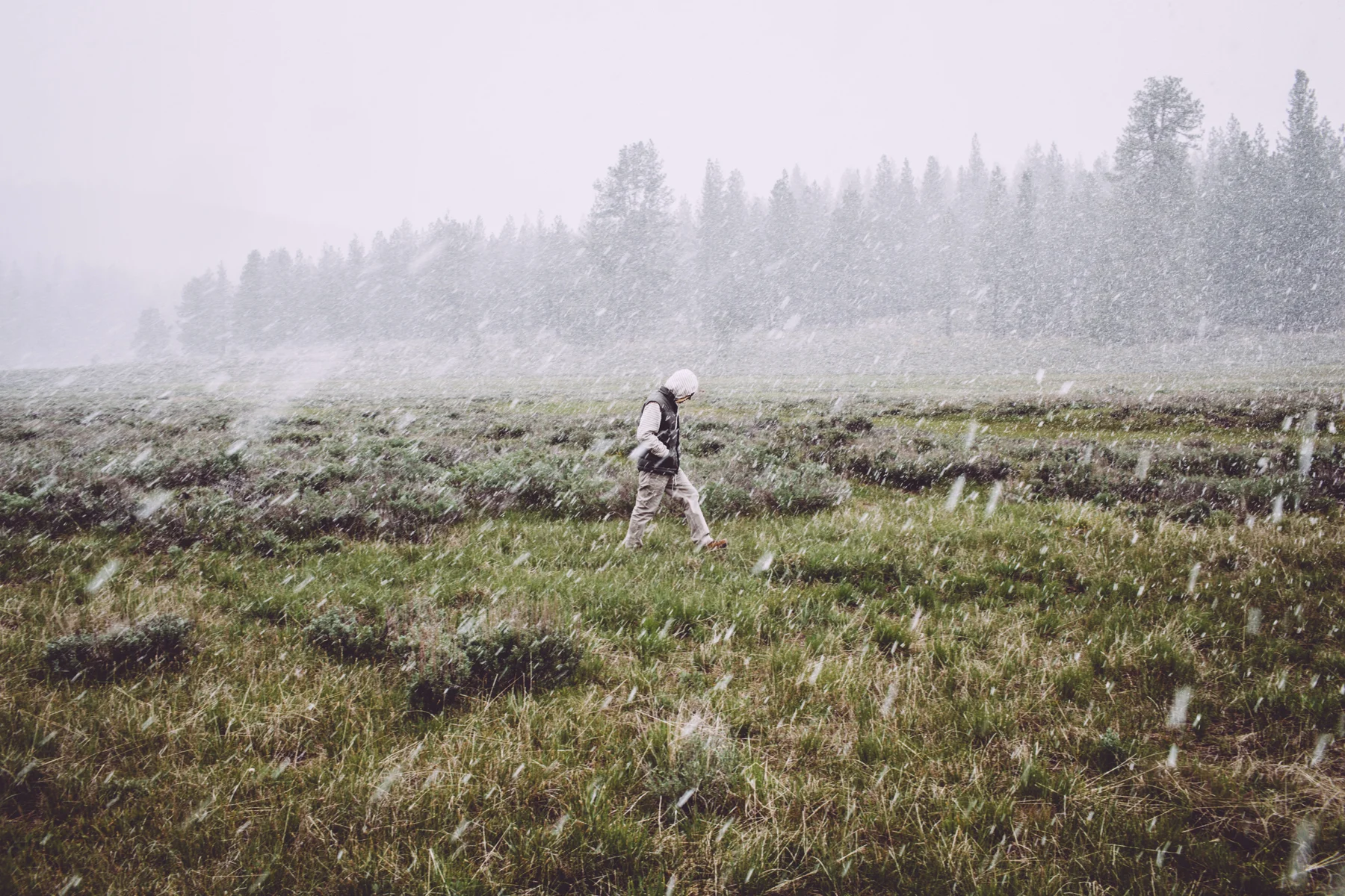 Sheep_Ranch-0045.jpg