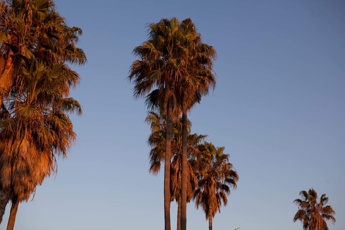20111109_Nike_Alpha_Street_0053.jpg