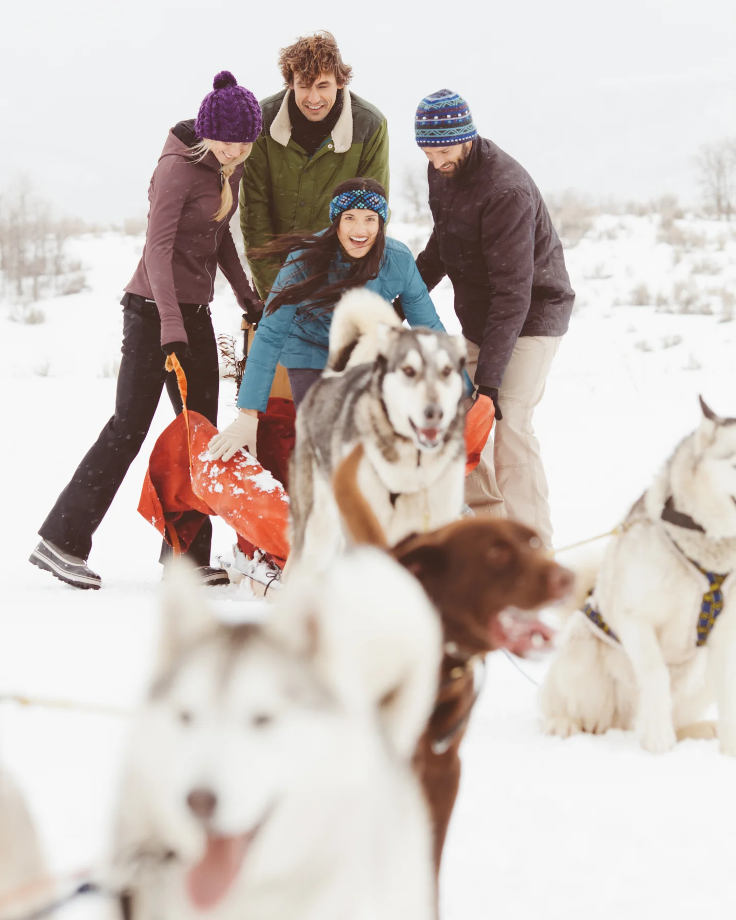 20120219_PRANA_DOGSLED8539.jpg