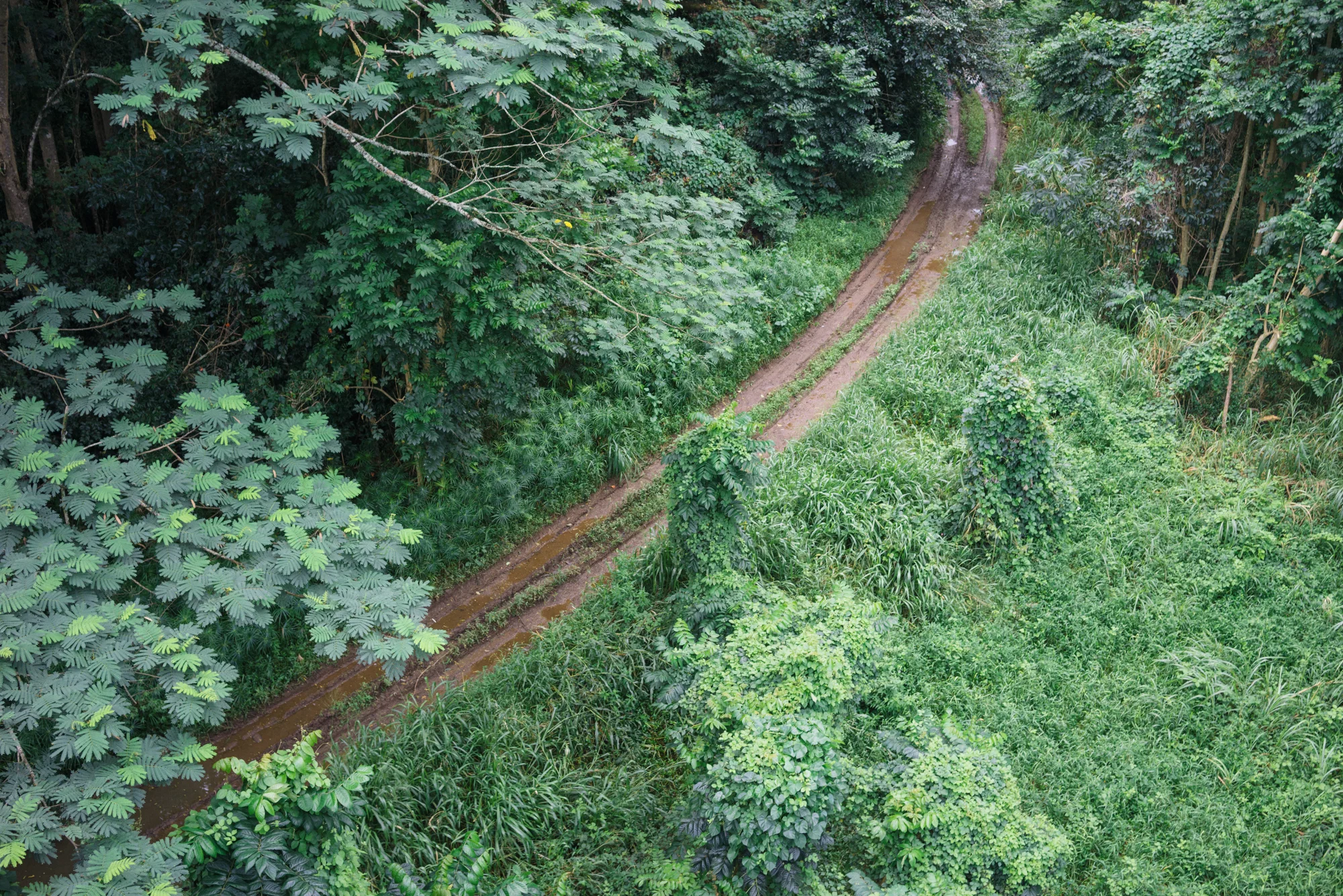 _DSC9461.jpg
