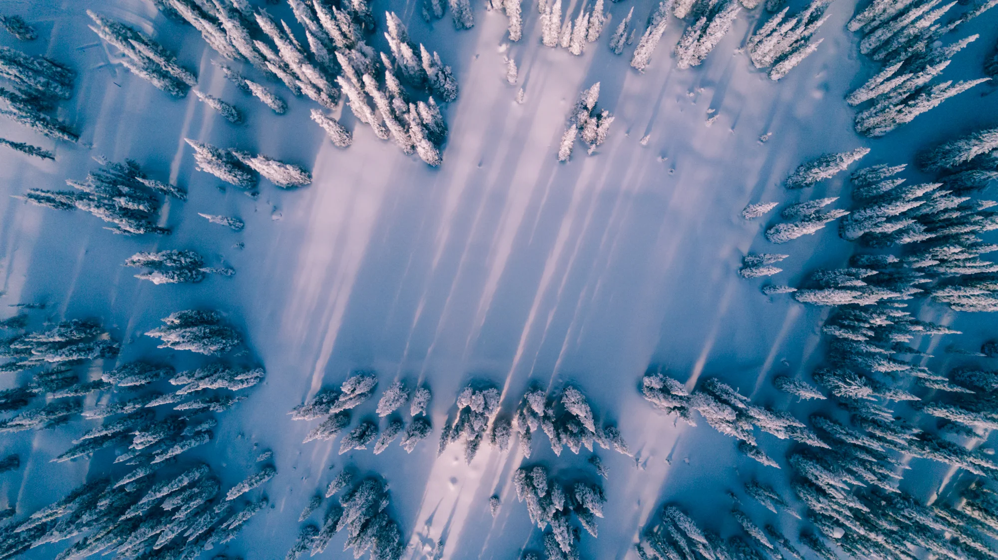 untitled-0111.jpg