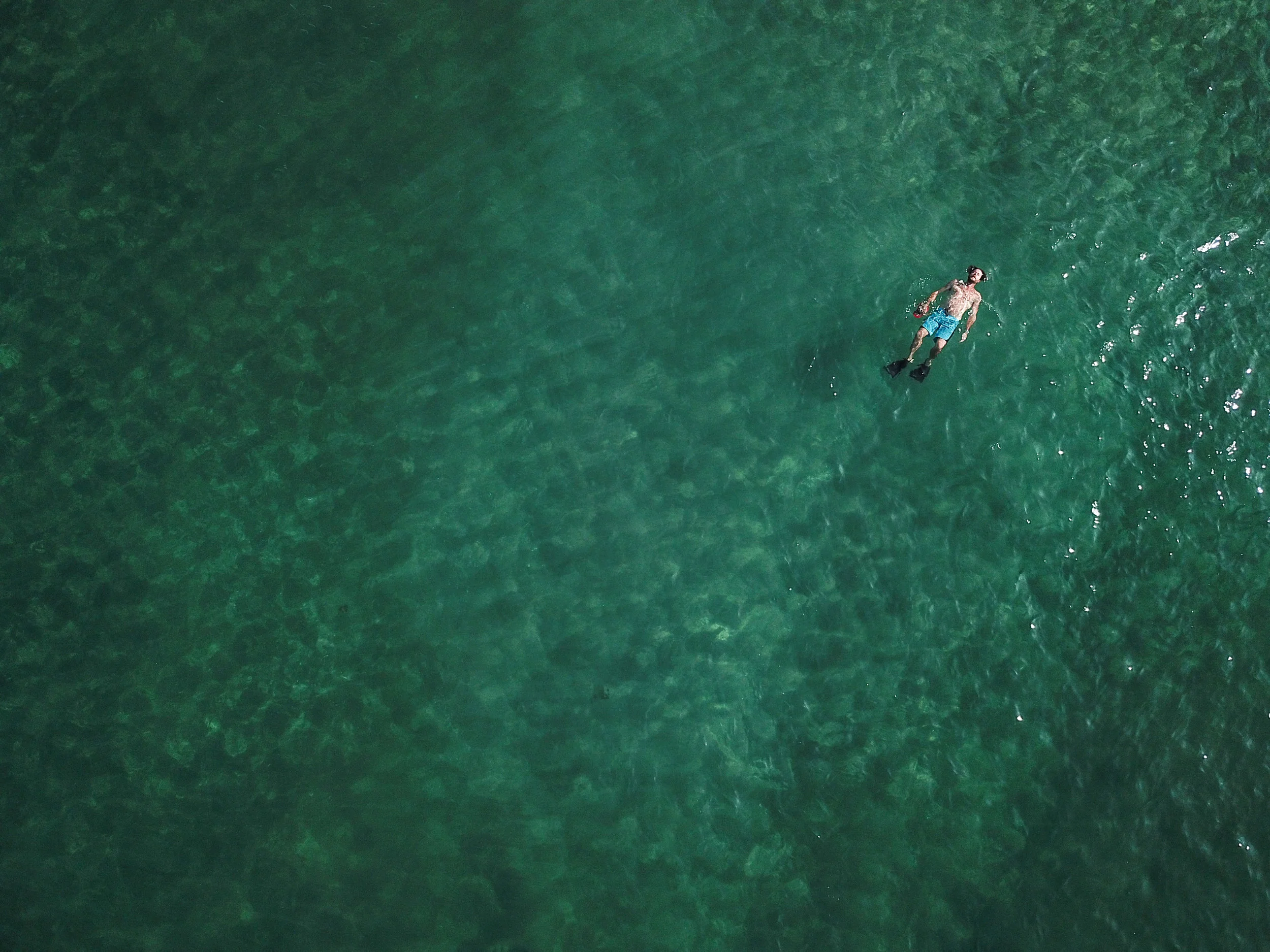 DJI_0595.jpg