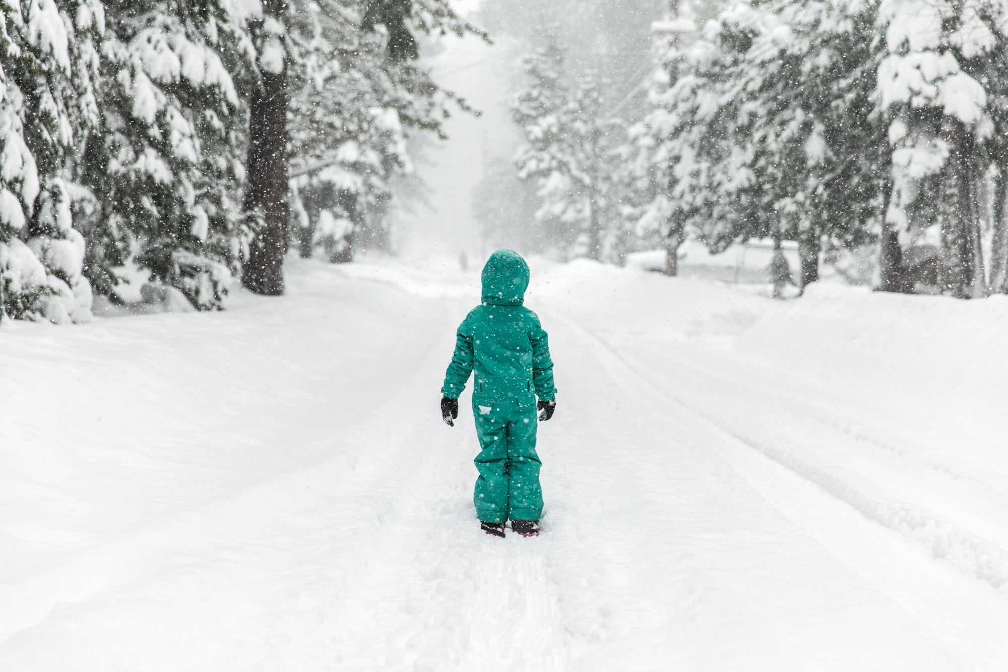 20121222_TahoeXMAS9212.jpg