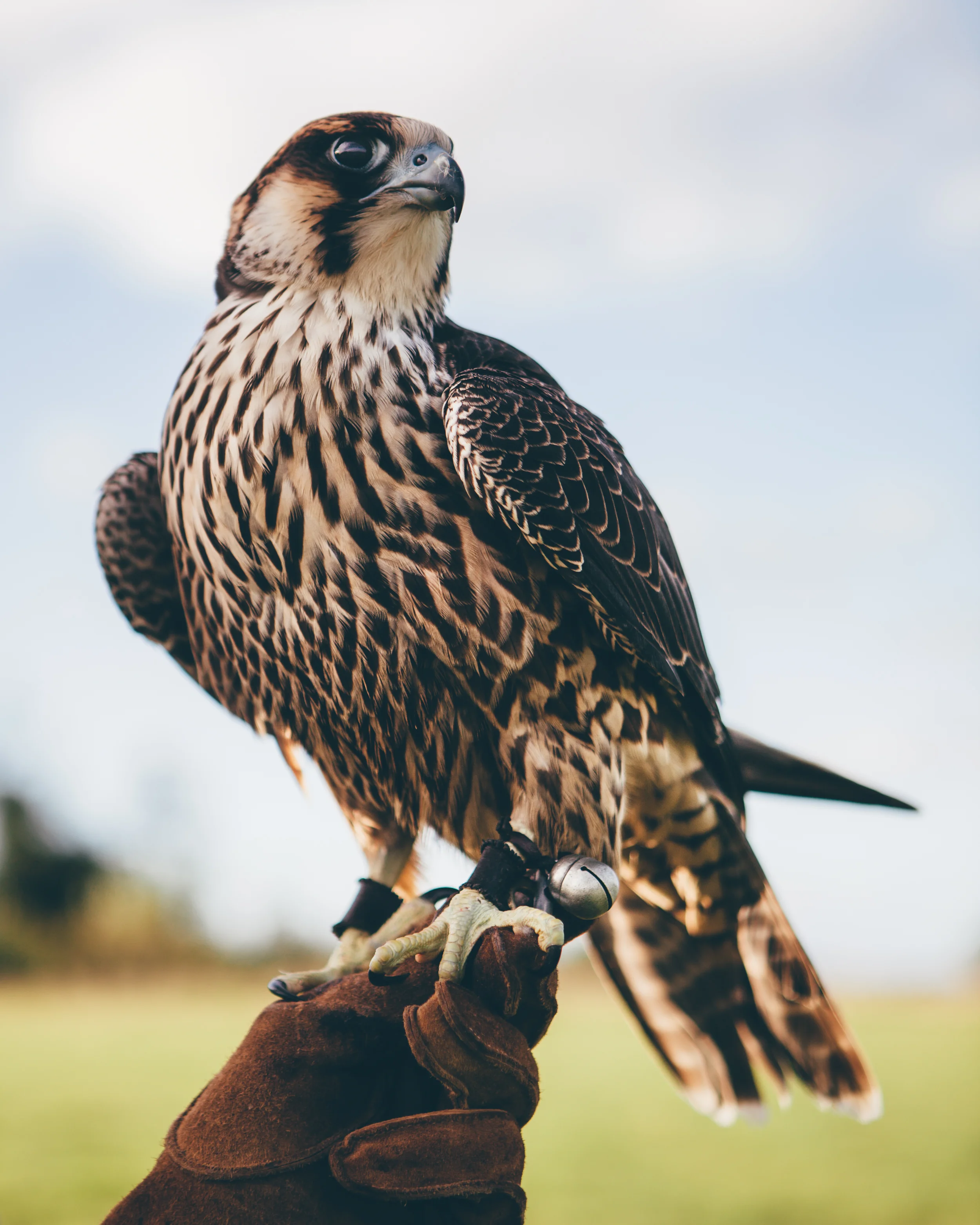 20100911_IRELAND-4164.jpg