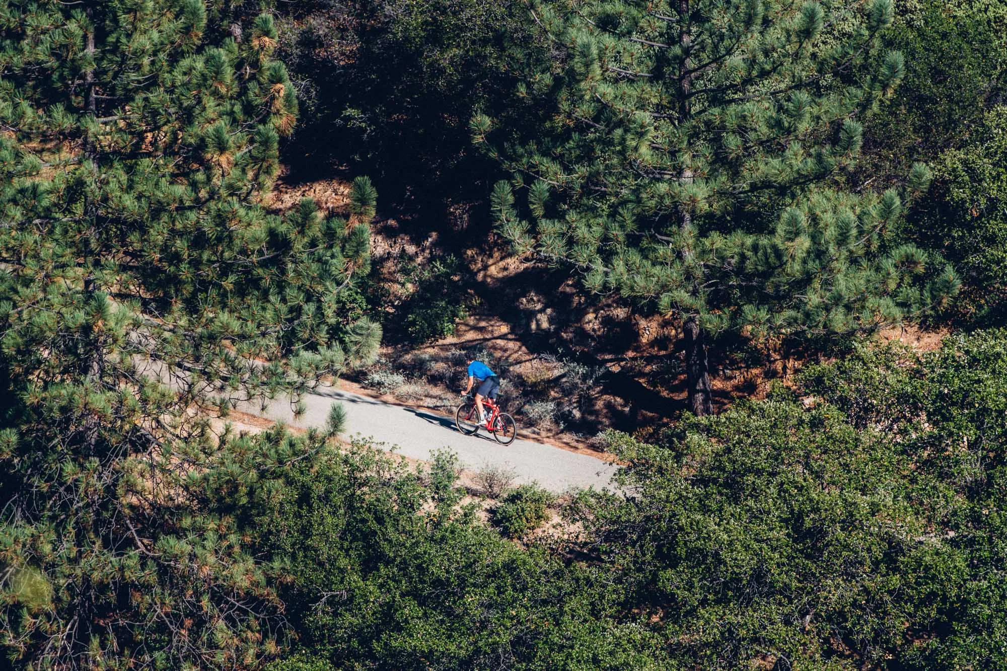 rucker-abovecategory-2016-1202.jpg