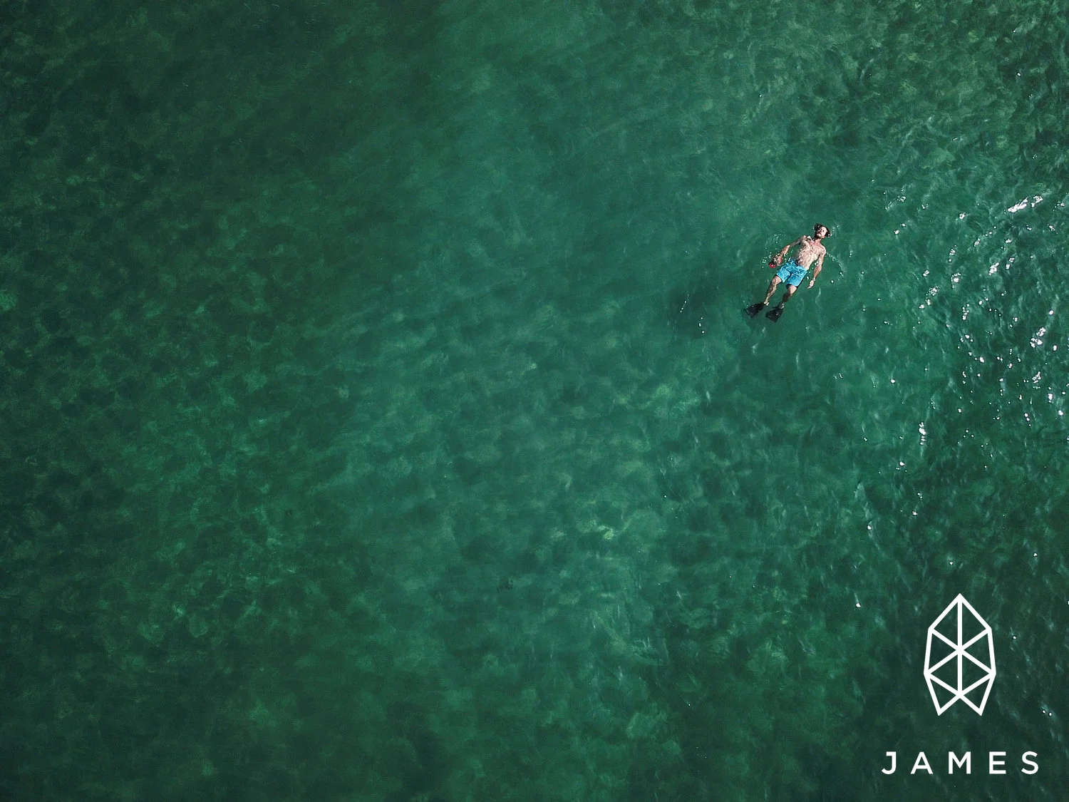 DJI_0595.jpg