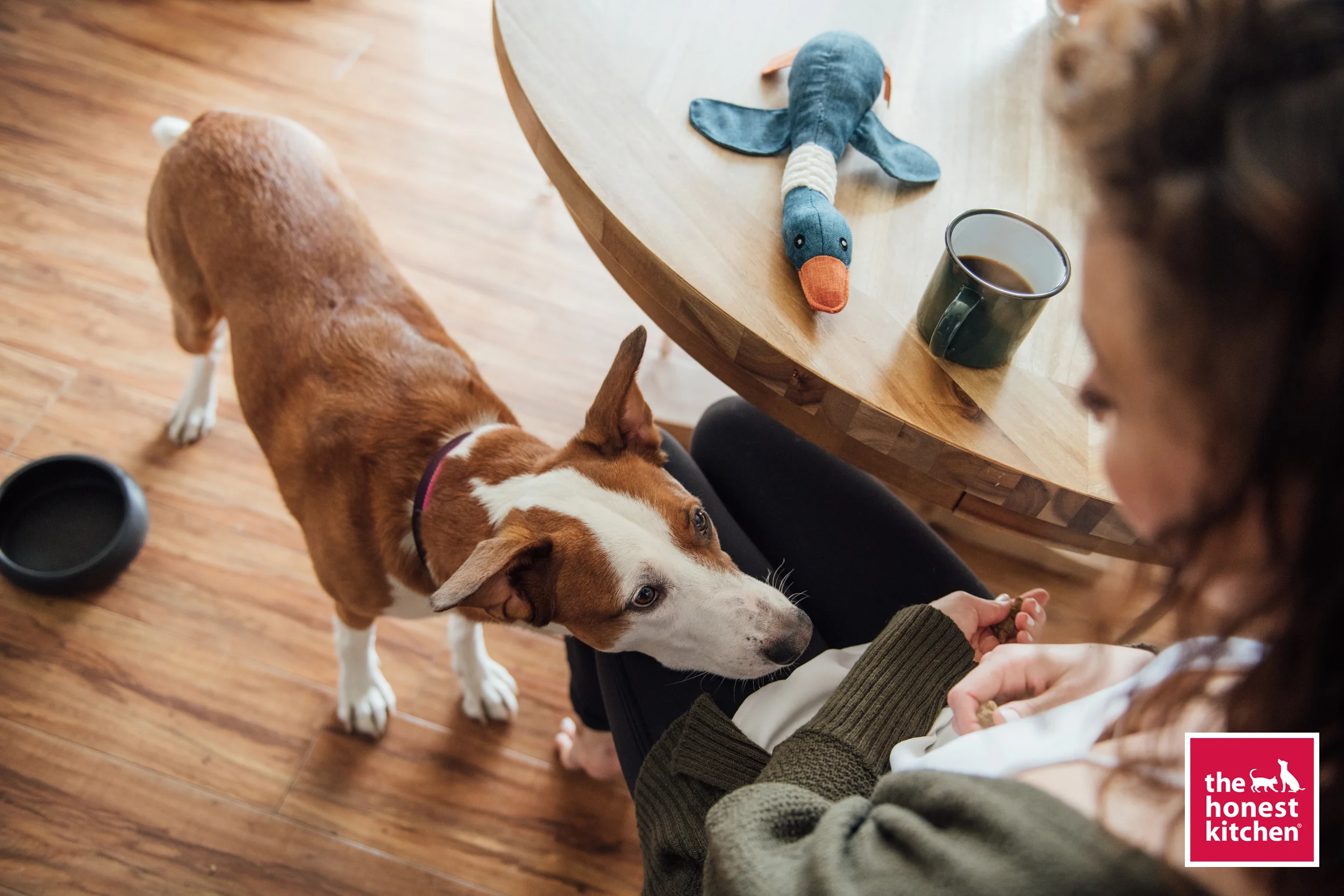 20180130_HonestKitchen_0974.jpg