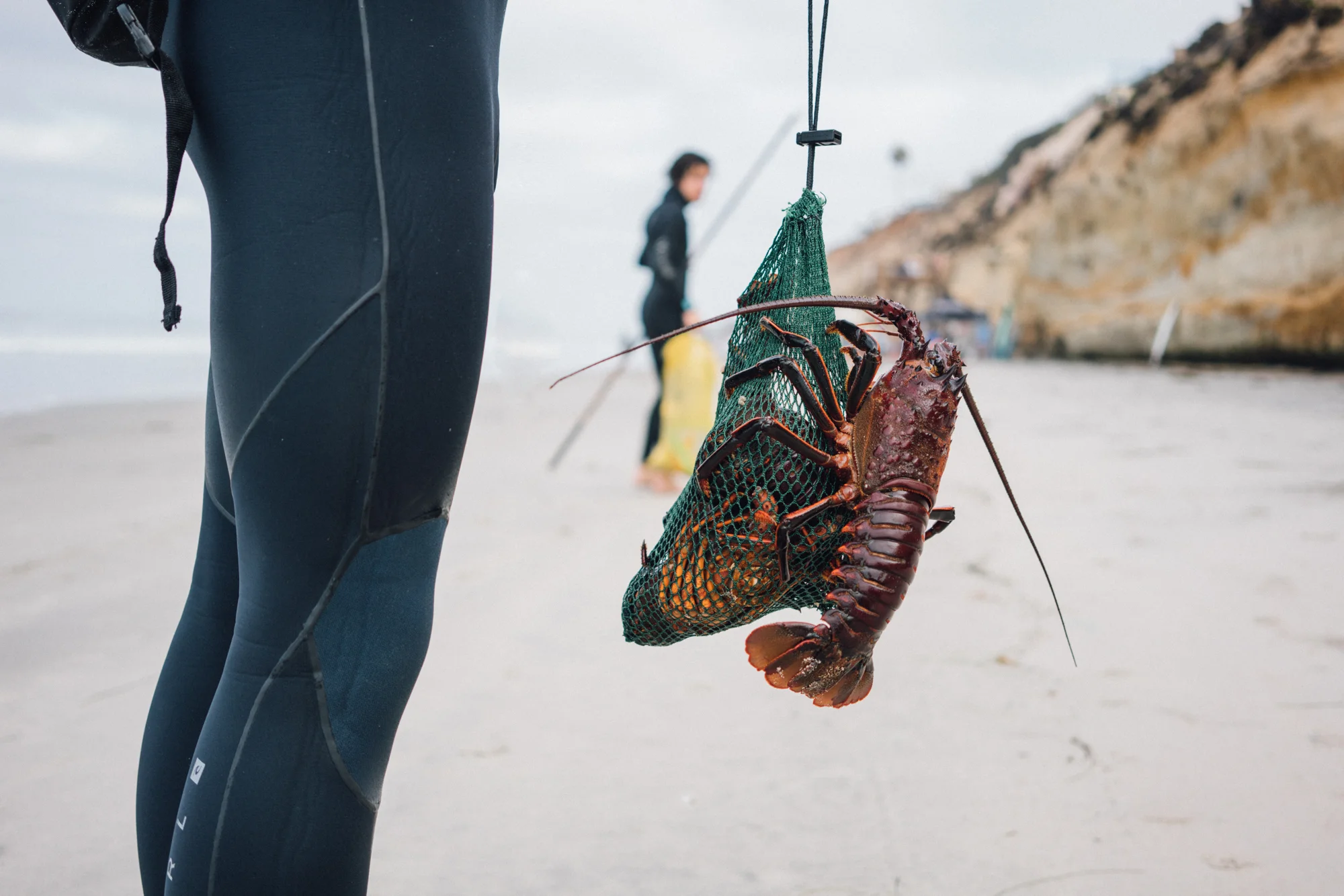 20180929_Lobster-.jpg